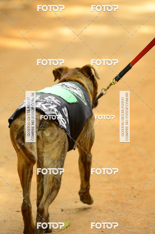 Buy your photos of the eventCORRIDA DOS EUCALIPTOS 2018 on Fotop