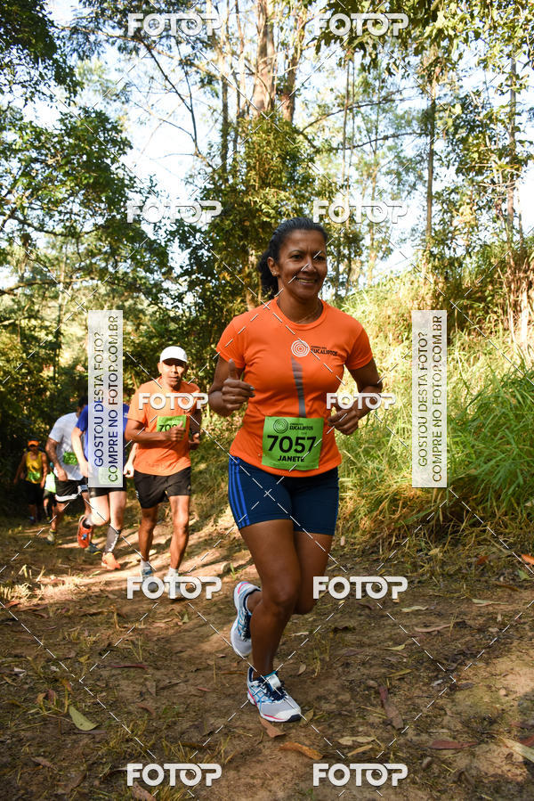 Buy your photos of the eventCORRIDA DOS EUCALIPTOS 2018 on Fotop