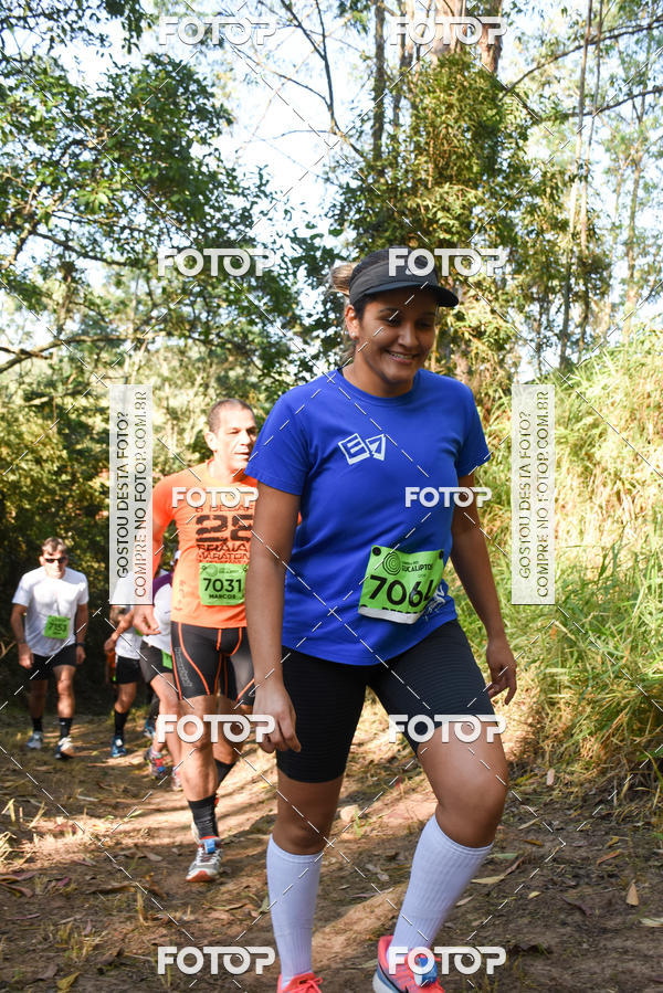 Buy your photos of the eventCORRIDA DOS EUCALIPTOS 2018 on Fotop