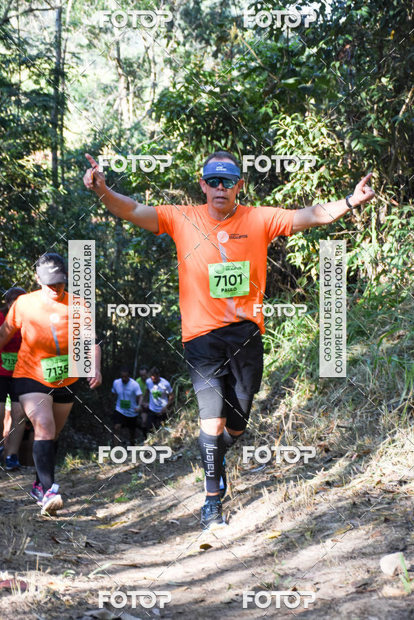 Buy your photos of the eventCORRIDA DOS EUCALIPTOS 2018 on Fotop