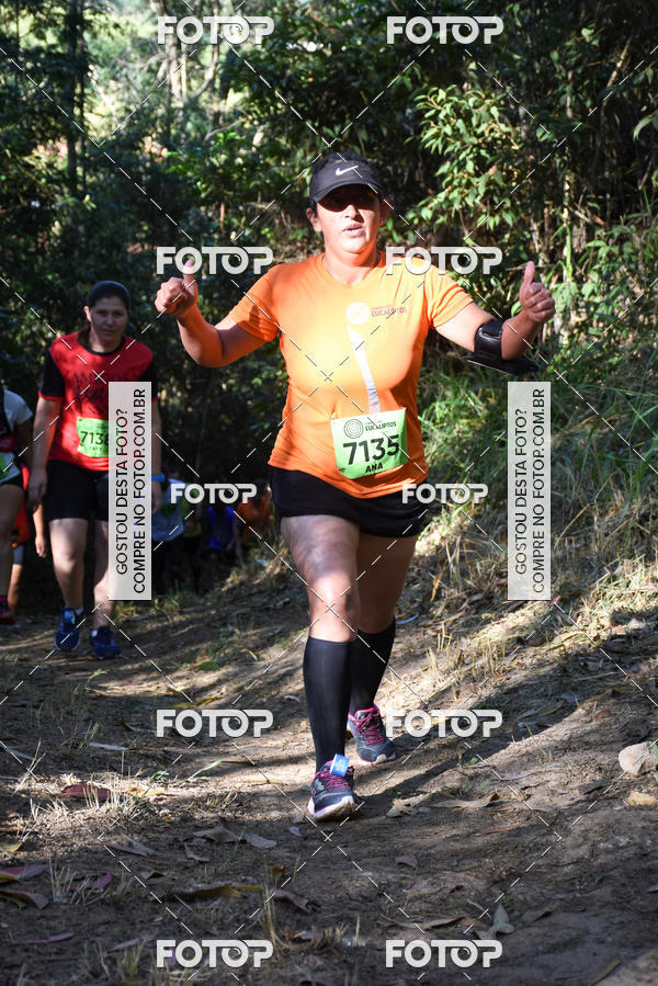 Buy your photos of the eventCORRIDA DOS EUCALIPTOS 2018 on Fotop