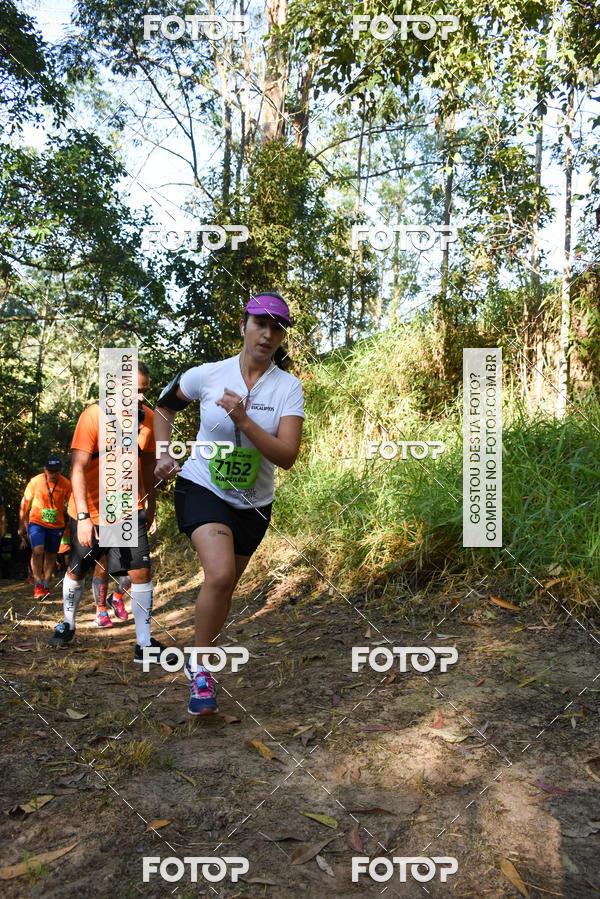 Buy your photos of the eventCORRIDA DOS EUCALIPTOS 2018 on Fotop