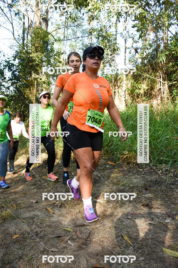 Buy your photos of the eventCORRIDA DOS EUCALIPTOS 2018 on Fotop