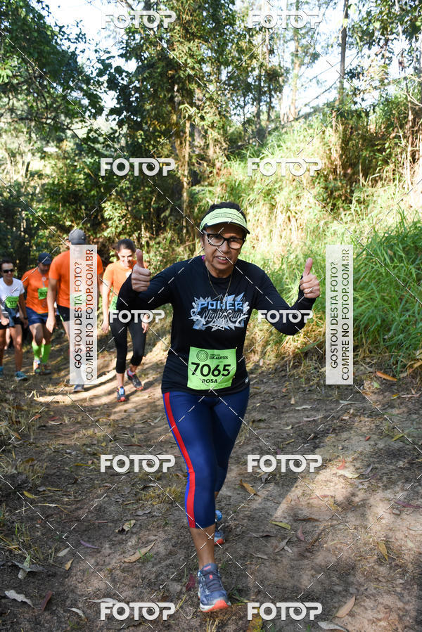 Buy your photos of the eventCORRIDA DOS EUCALIPTOS 2018 on Fotop