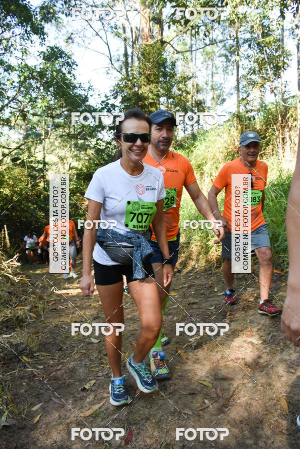 Buy your photos of the eventCORRIDA DOS EUCALIPTOS 2018 on Fotop
