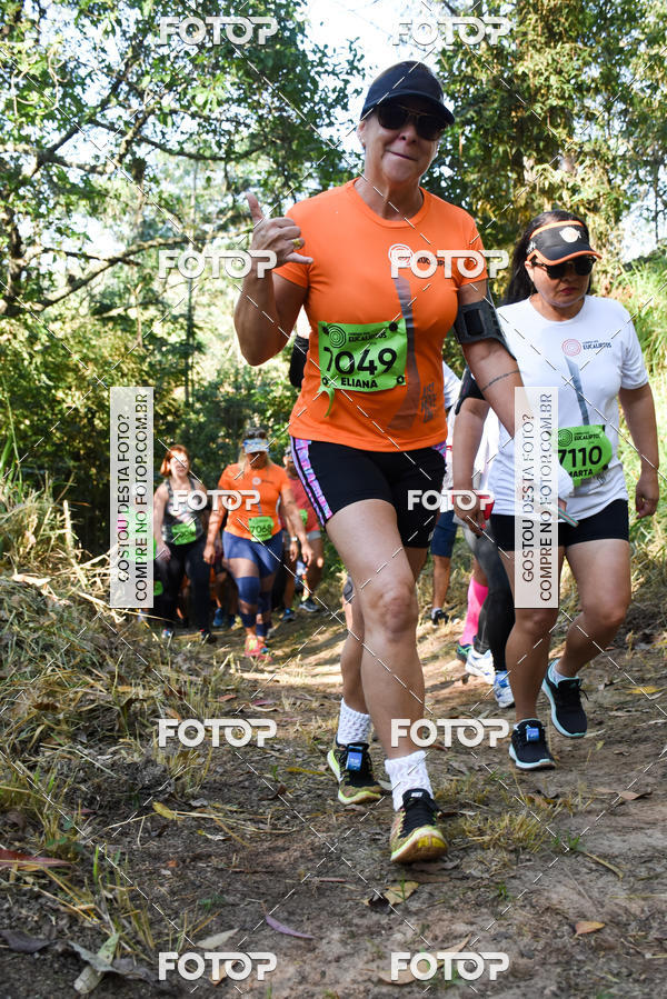 Buy your photos of the eventCORRIDA DOS EUCALIPTOS 2018 on Fotop