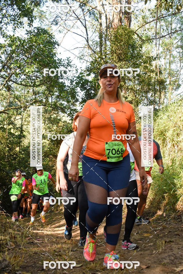 Buy your photos of the eventCORRIDA DOS EUCALIPTOS 2018 on Fotop