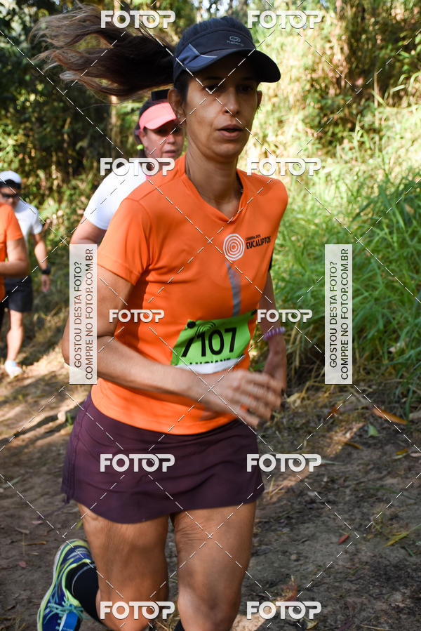 Buy your photos of the eventCORRIDA DOS EUCALIPTOS 2018 on Fotop