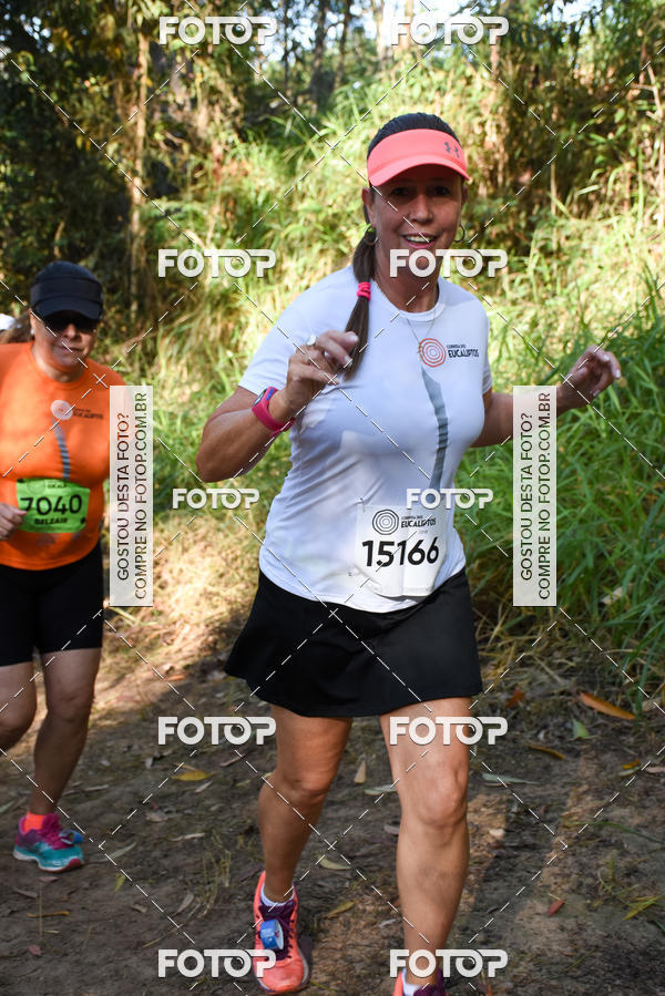 Buy your photos of the eventCORRIDA DOS EUCALIPTOS 2018 on Fotop