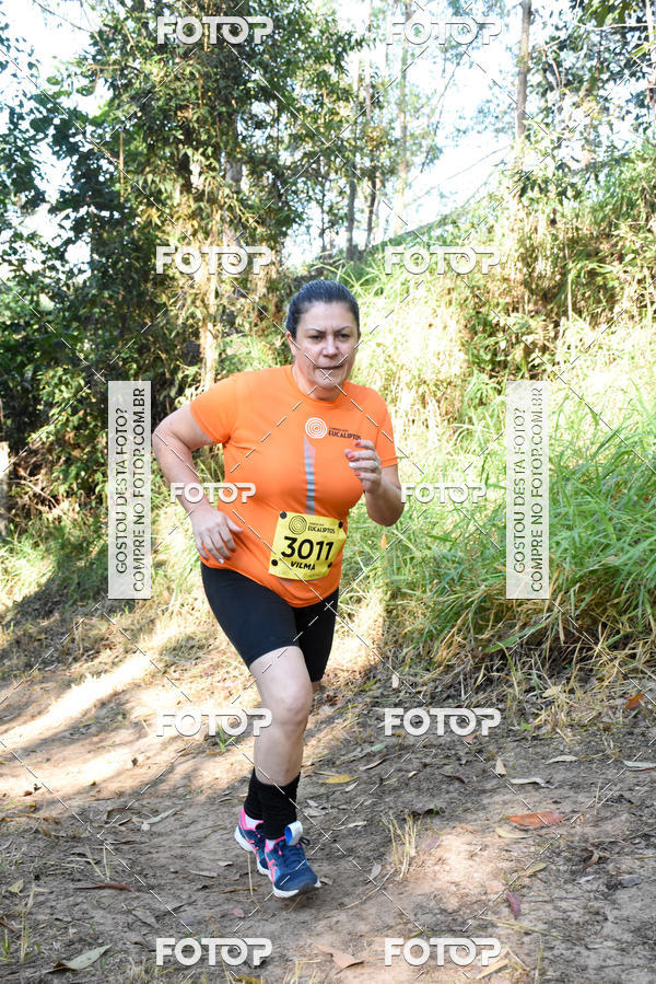 Buy your photos of the eventCORRIDA DOS EUCALIPTOS 2018 on Fotop