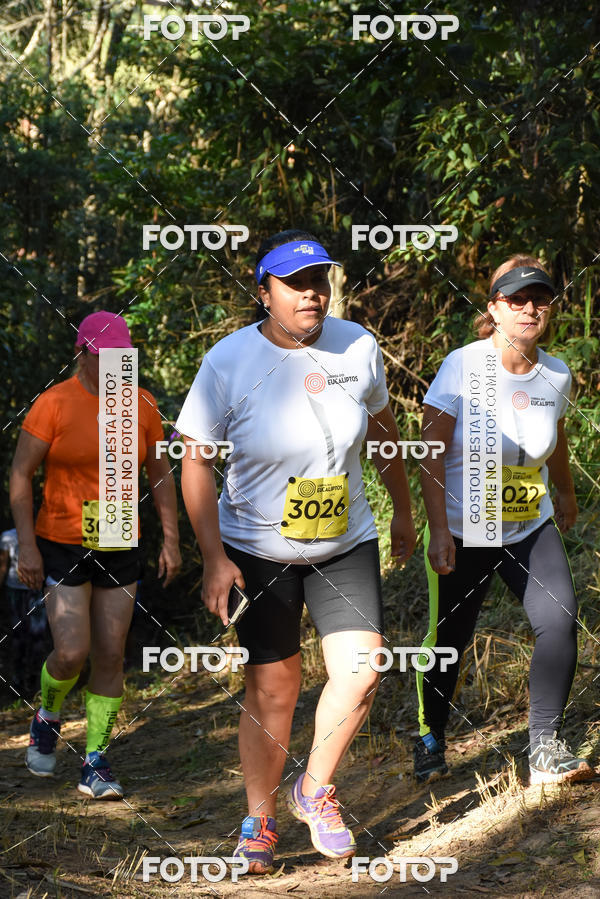Buy your photos of the eventCORRIDA DOS EUCALIPTOS 2018 on Fotop