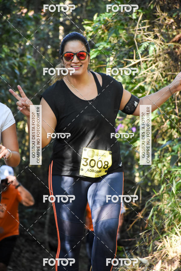 Buy your photos of the eventCORRIDA DOS EUCALIPTOS 2018 on Fotop