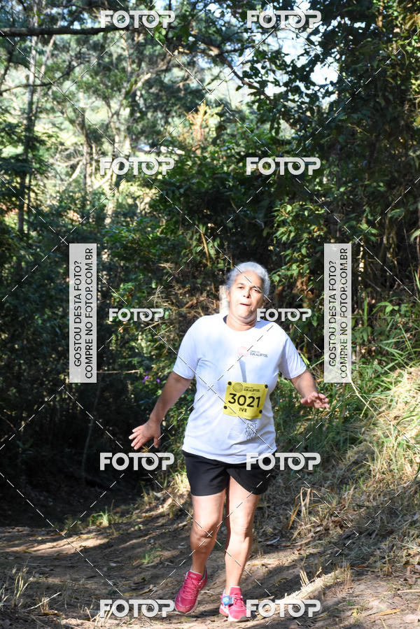 Buy your photos of the eventCORRIDA DOS EUCALIPTOS 2018 on Fotop