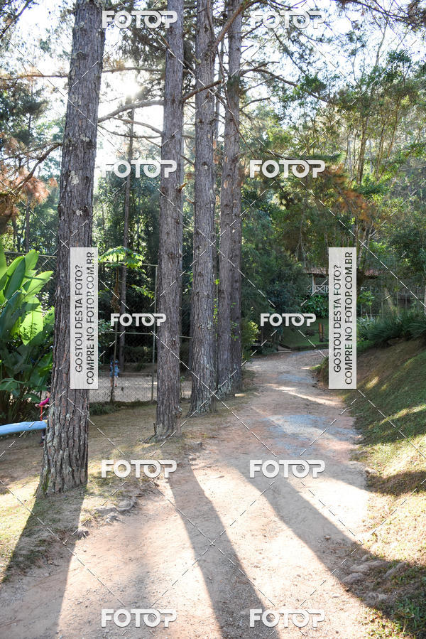 Buy your photos of the eventCORRIDA DOS EUCALIPTOS 2018 on Fotop