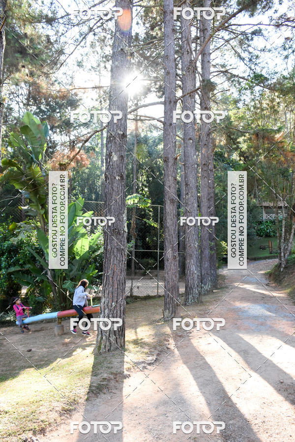 Buy your photos of the eventCORRIDA DOS EUCALIPTOS 2018 on Fotop