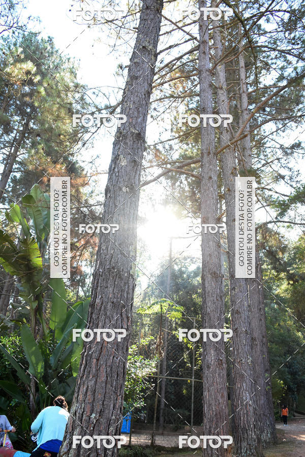 Buy your photos of the eventCORRIDA DOS EUCALIPTOS 2018 on Fotop