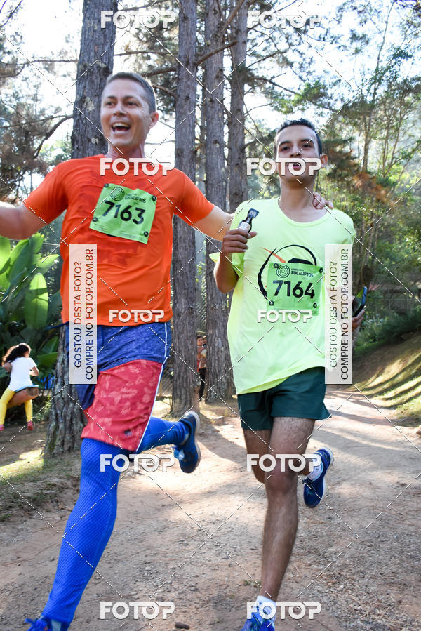 Buy your photos of the eventCORRIDA DOS EUCALIPTOS 2018 on Fotop