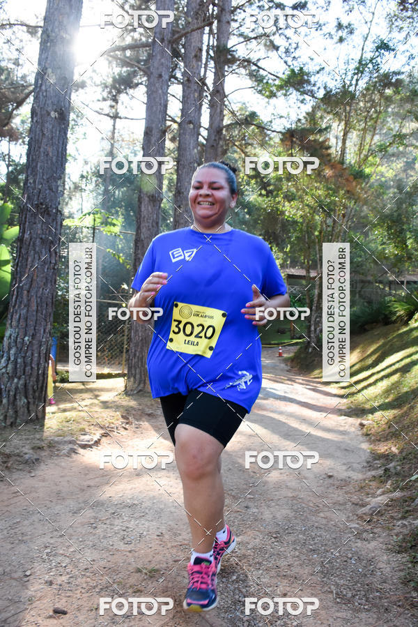 Buy your photos of the eventCORRIDA DOS EUCALIPTOS 2018 on Fotop