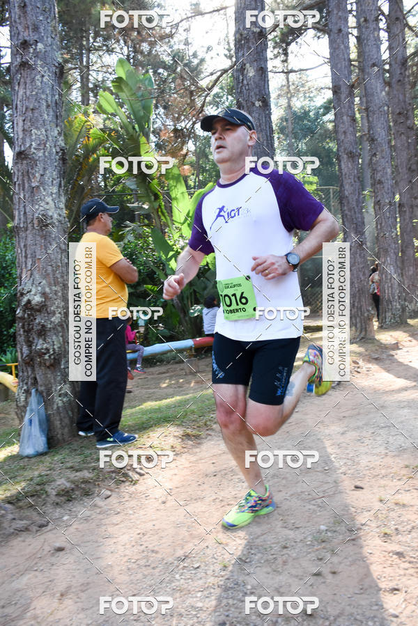 Buy your photos of the eventCORRIDA DOS EUCALIPTOS 2018 on Fotop