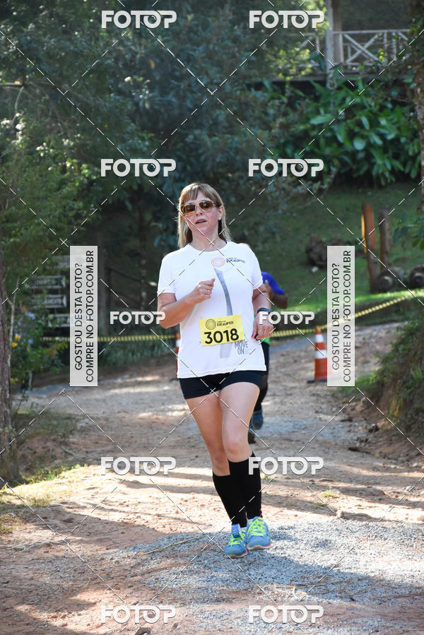 Buy your photos of the eventCORRIDA DOS EUCALIPTOS 2018 on Fotop