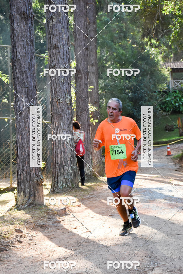 Buy your photos of the eventCORRIDA DOS EUCALIPTOS 2018 on Fotop