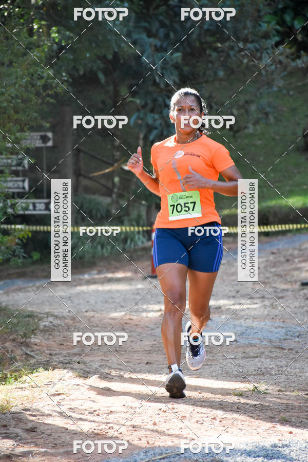 Buy your photos of the eventCORRIDA DOS EUCALIPTOS 2018 on Fotop