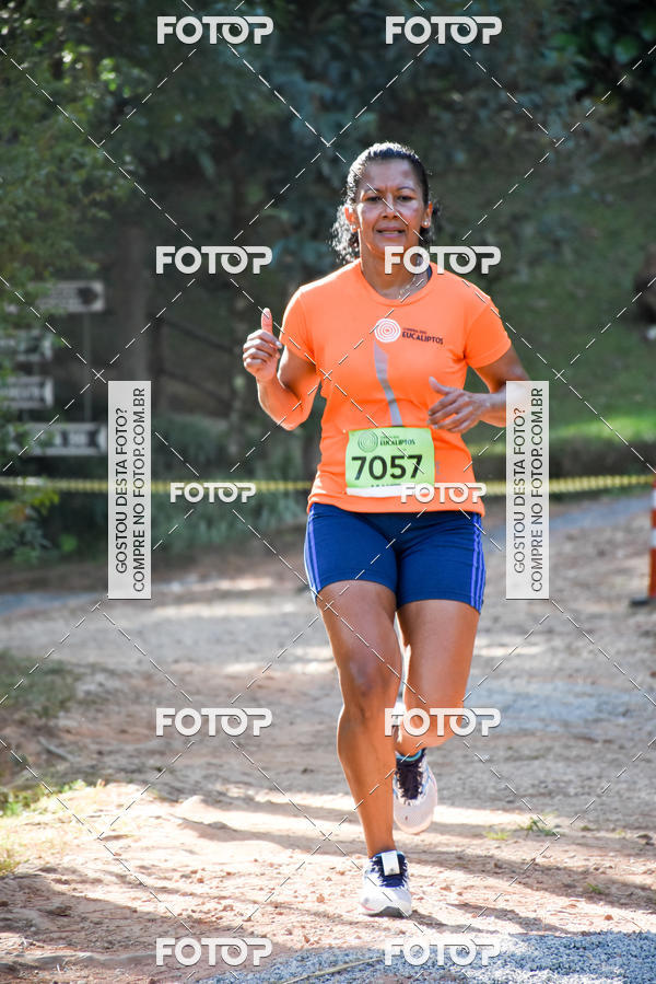 Buy your photos of the eventCORRIDA DOS EUCALIPTOS 2018 on Fotop