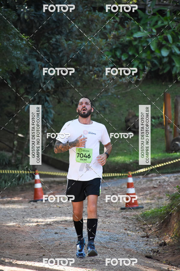 Buy your photos of the eventCORRIDA DOS EUCALIPTOS 2018 on Fotop