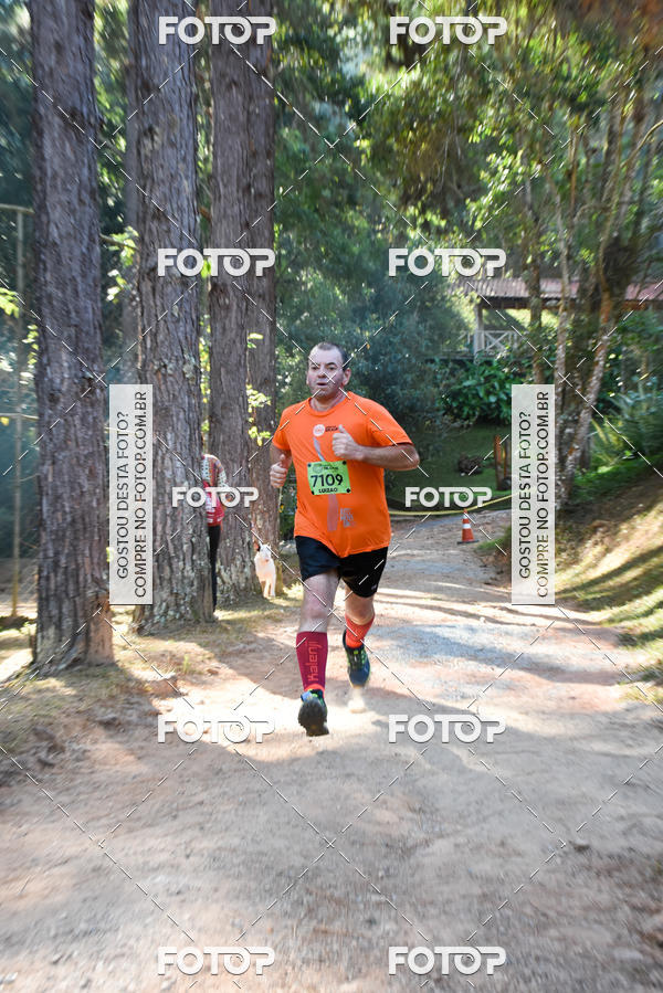 Buy your photos of the eventCORRIDA DOS EUCALIPTOS 2018 on Fotop