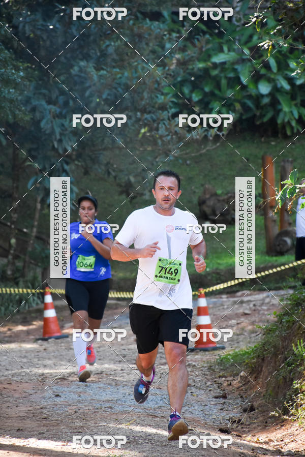 Buy your photos of the eventCORRIDA DOS EUCALIPTOS 2018 on Fotop