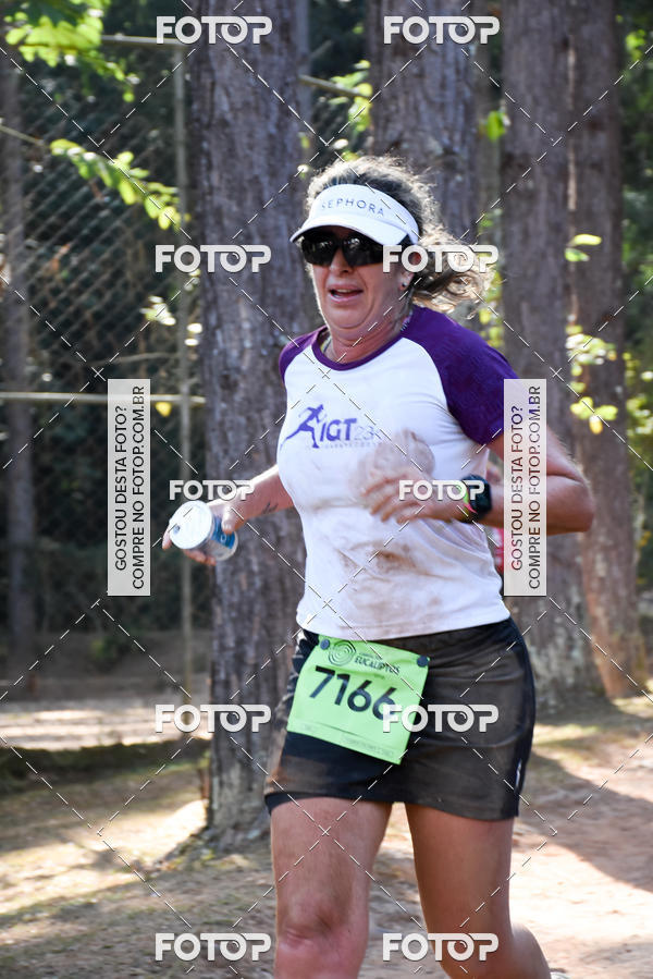 Buy your photos of the eventCORRIDA DOS EUCALIPTOS 2018 on Fotop