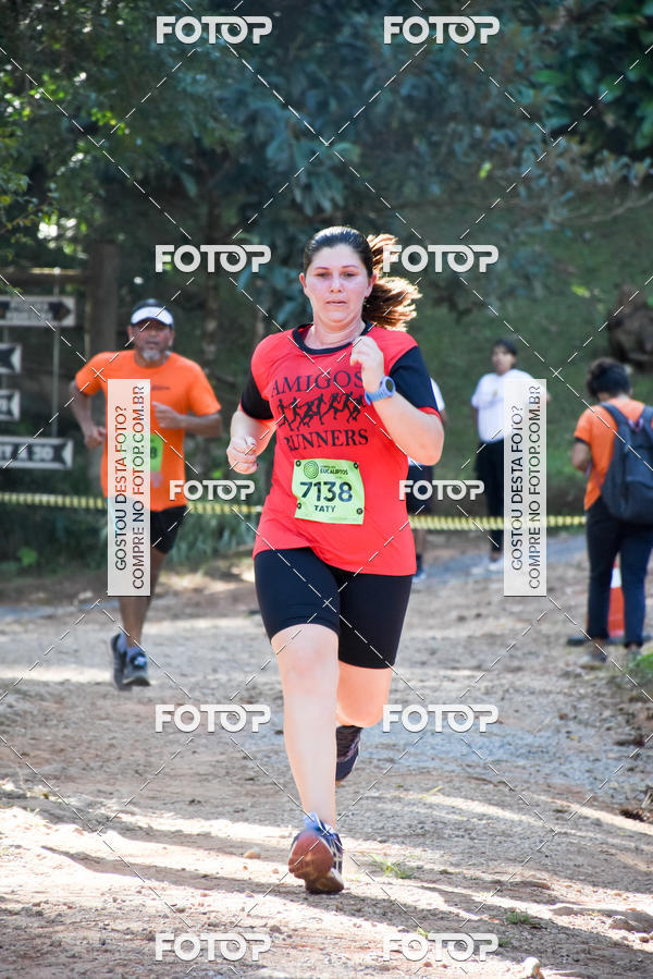 Buy your photos of the eventCORRIDA DOS EUCALIPTOS 2018 on Fotop