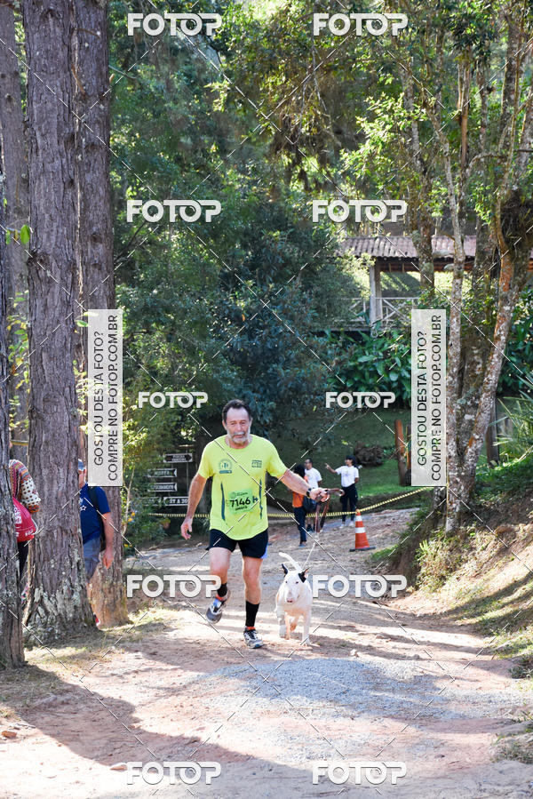 Buy your photos of the eventCORRIDA DOS EUCALIPTOS 2018 on Fotop