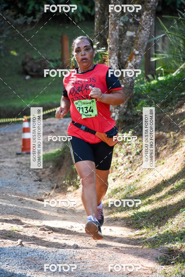 Buy your photos of the eventCORRIDA DOS EUCALIPTOS 2018 on Fotop