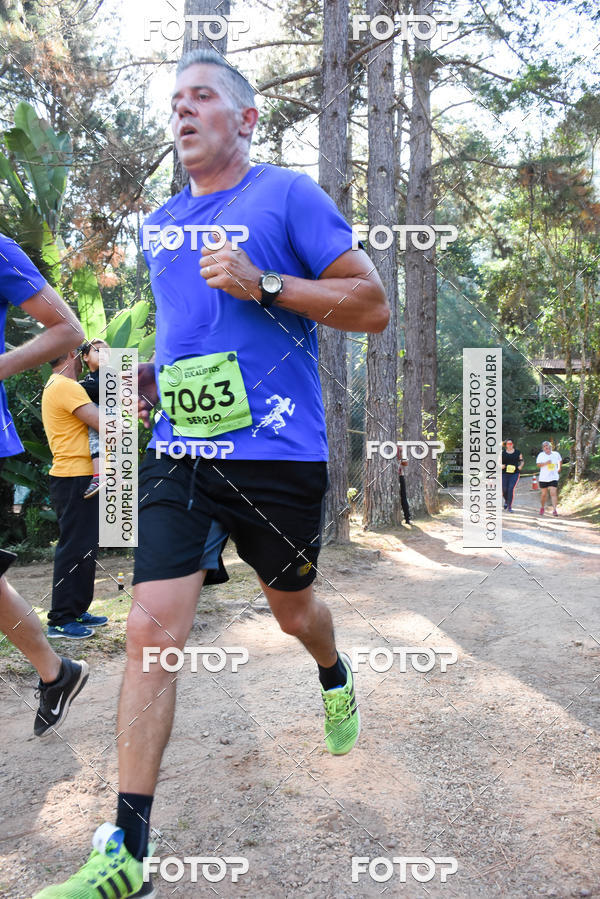 Buy your photos of the eventCORRIDA DOS EUCALIPTOS 2018 on Fotop