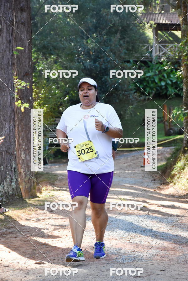 Buy your photos of the eventCORRIDA DOS EUCALIPTOS 2018 on Fotop