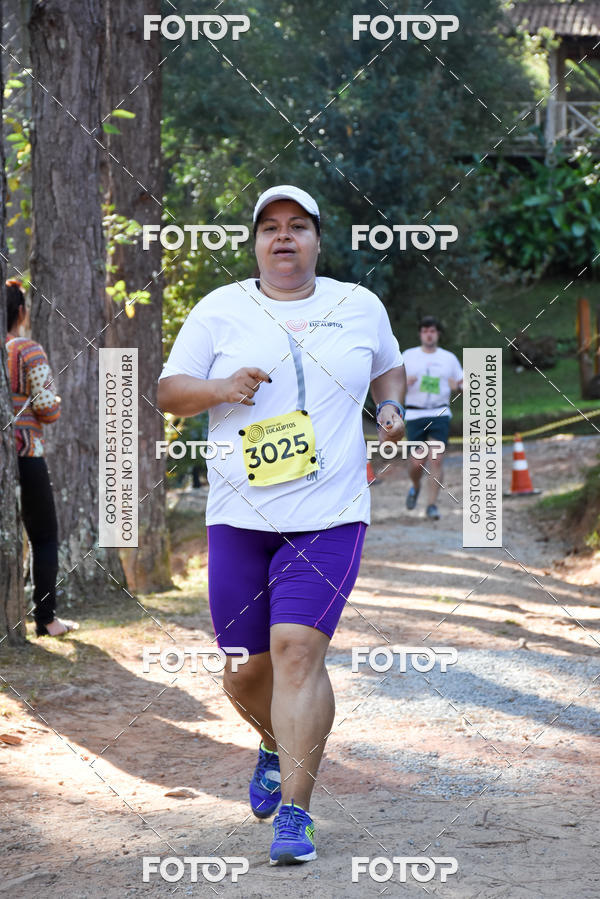 Buy your photos of the eventCORRIDA DOS EUCALIPTOS 2018 on Fotop