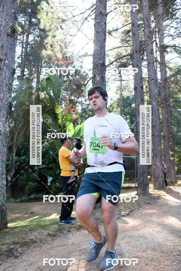 Buy your photos of the eventCORRIDA DOS EUCALIPTOS 2018 on Fotop