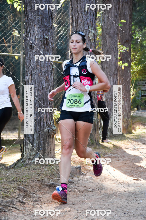 Buy your photos of the eventCORRIDA DOS EUCALIPTOS 2018 on Fotop