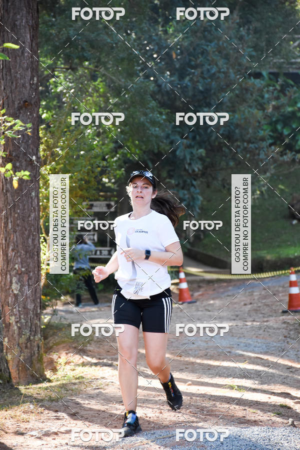 Buy your photos of the eventCORRIDA DOS EUCALIPTOS 2018 on Fotop