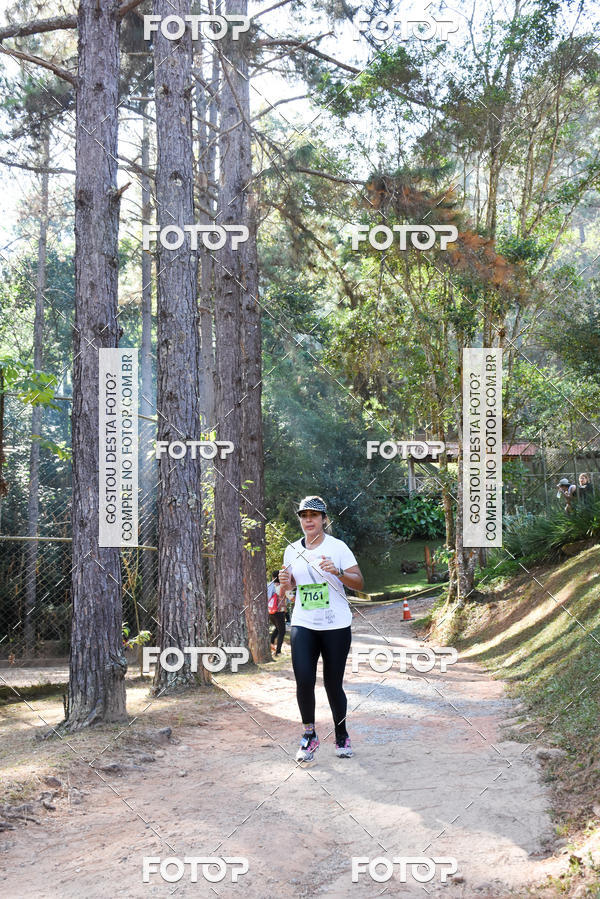 Buy your photos of the eventCORRIDA DOS EUCALIPTOS 2018 on Fotop