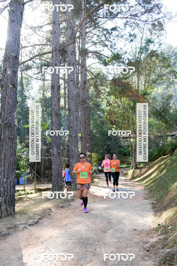 Buy your photos of the eventCORRIDA DOS EUCALIPTOS 2018 on Fotop