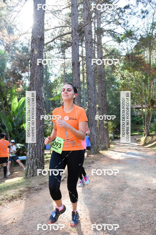 Buy your photos of the eventCORRIDA DOS EUCALIPTOS 2018 on Fotop