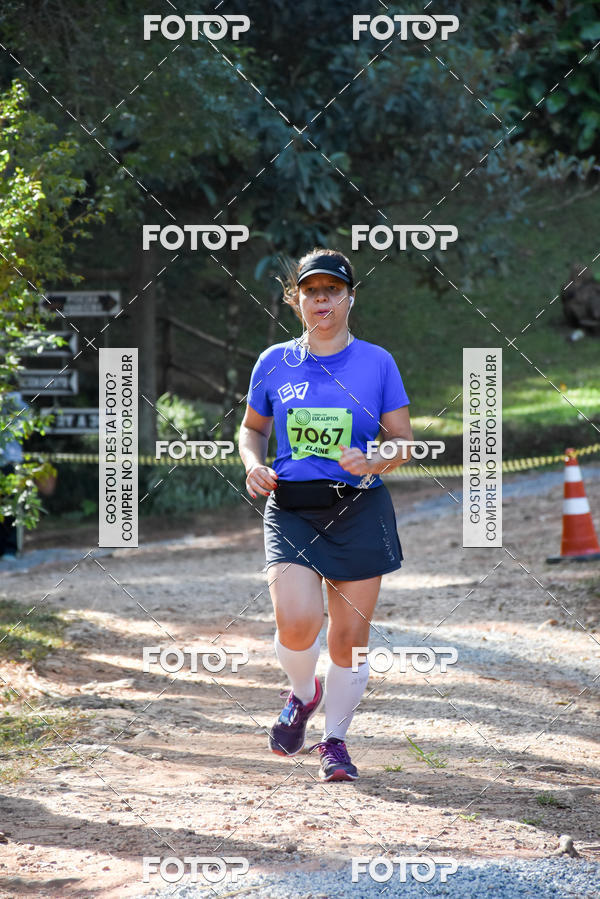 Buy your photos of the eventCORRIDA DOS EUCALIPTOS 2018 on Fotop