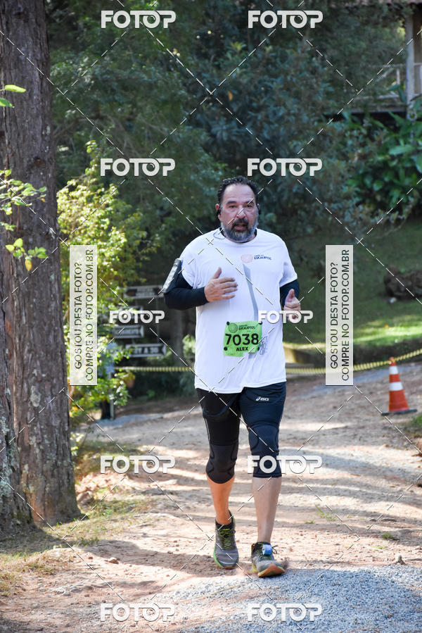 Buy your photos of the eventCORRIDA DOS EUCALIPTOS 2018 on Fotop