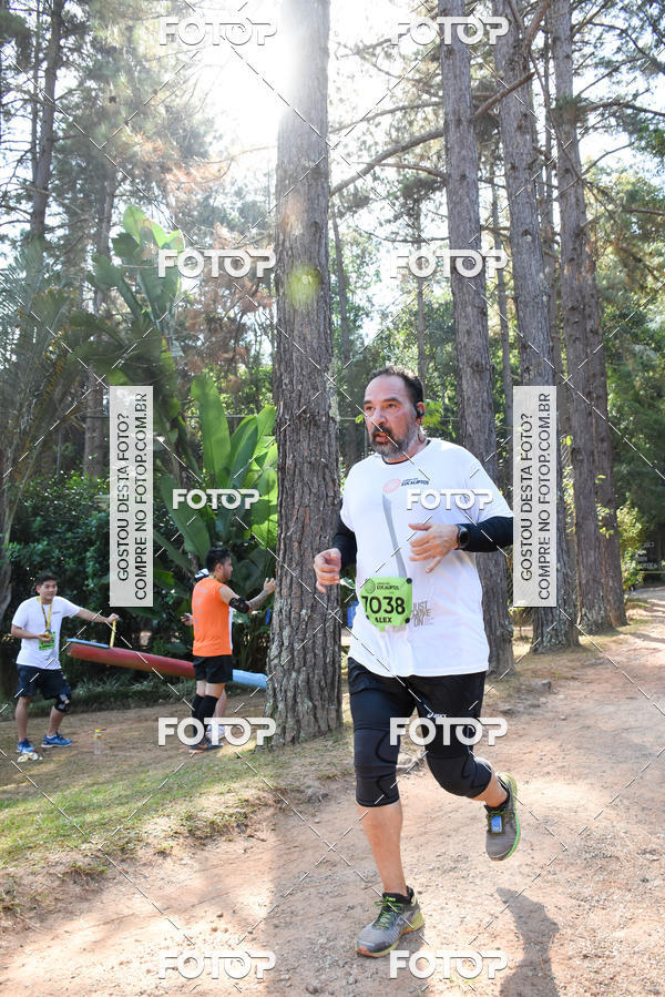 Buy your photos of the eventCORRIDA DOS EUCALIPTOS 2018 on Fotop