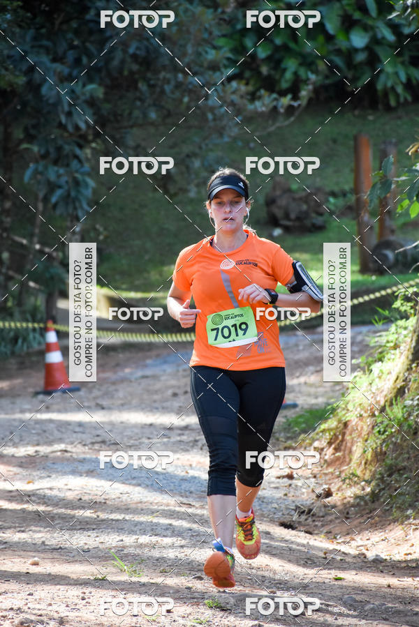 Buy your photos of the eventCORRIDA DOS EUCALIPTOS 2018 on Fotop