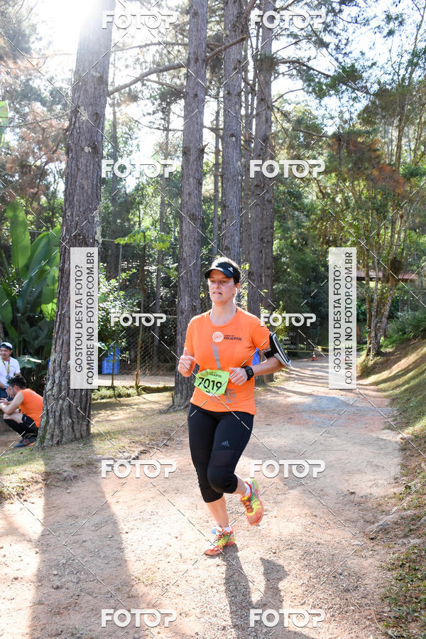 Buy your photos of the eventCORRIDA DOS EUCALIPTOS 2018 on Fotop