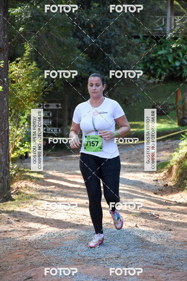 Buy your photos of the eventCORRIDA DOS EUCALIPTOS 2018 on Fotop