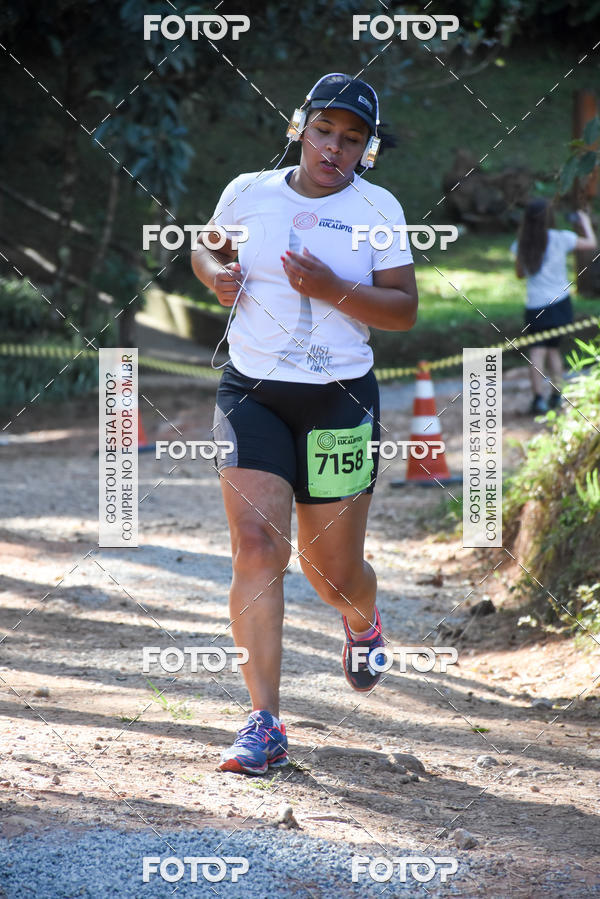 Buy your photos of the eventCORRIDA DOS EUCALIPTOS 2018 on Fotop